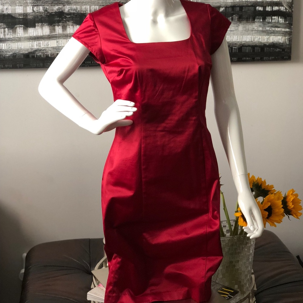 Shape FX Dress Size 2